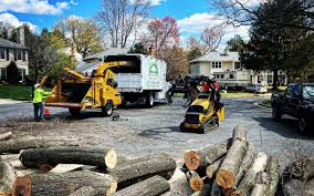 Best Sod Installation  in Culpeper, VA