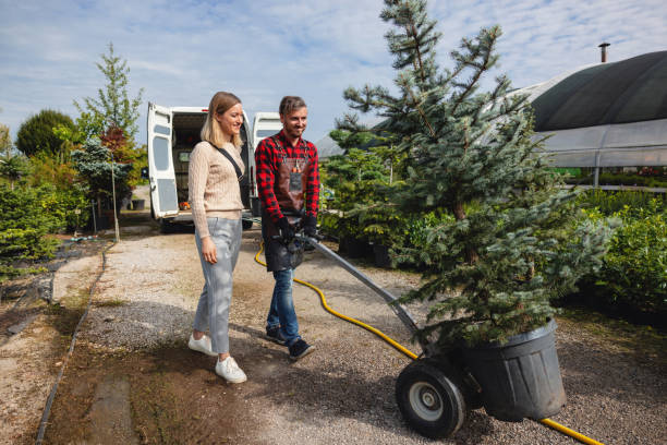Best Organic Lawn Care Solutions  in Culpeper, VA